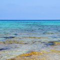 Excursiones y fotografía en la Isla de Elba